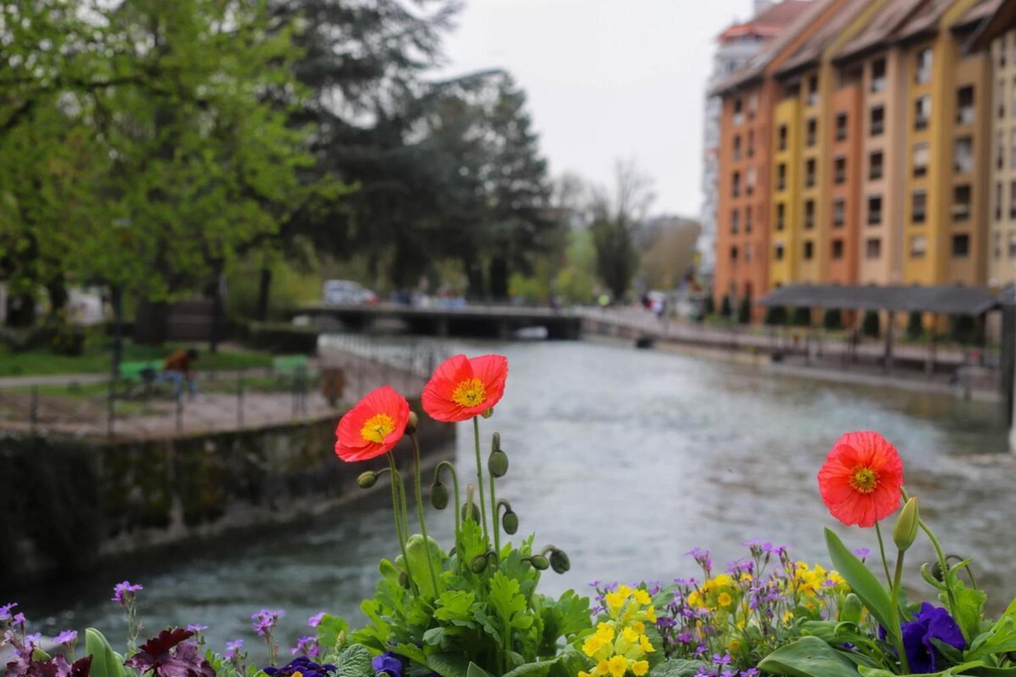 Le Coeur De Ville Splendide T2 Plein Centre Annecy Eksteriør billede